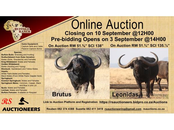 Buffalo Ranch Game Auction 10 September 2025